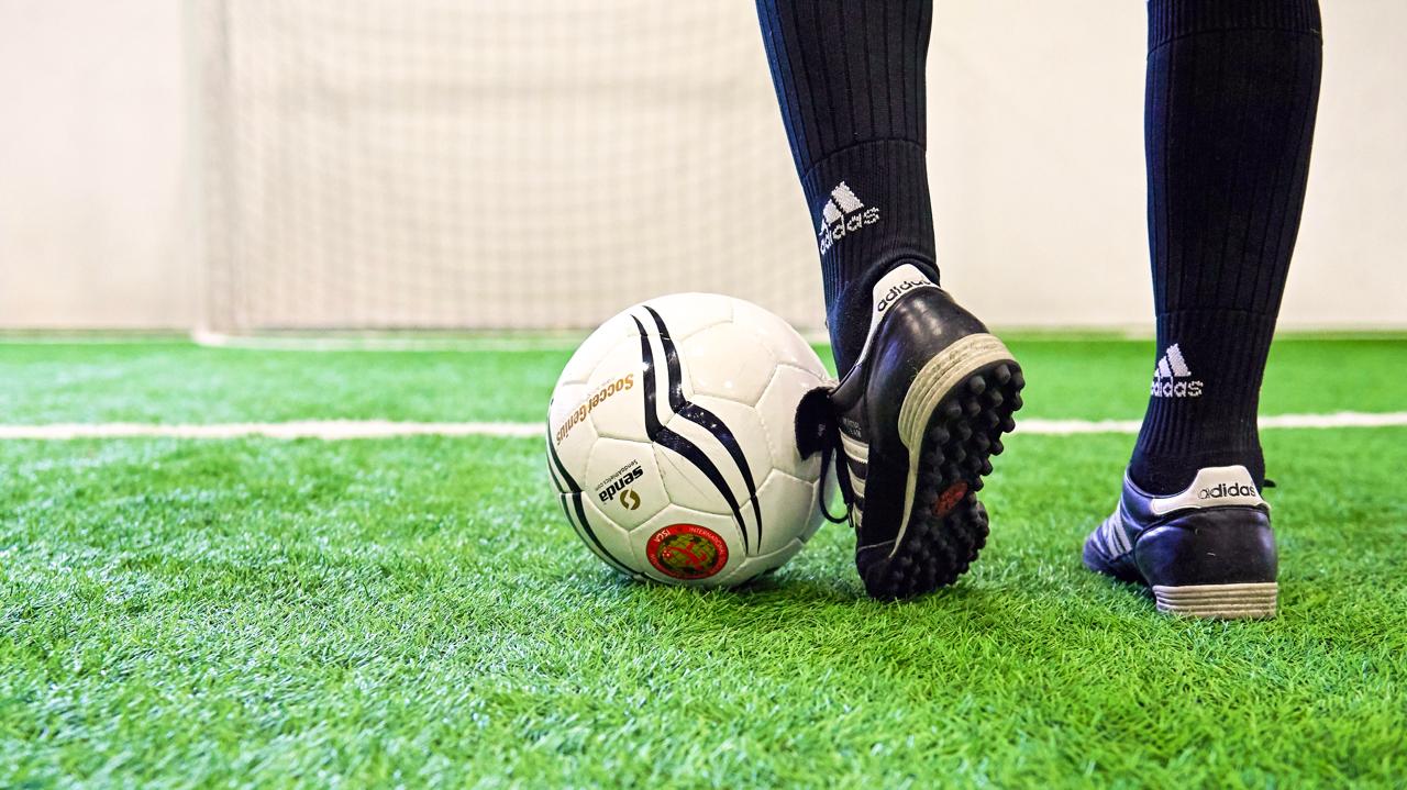 اﻟﻔﺮق ﺑﻴﻦ اﻟﻨﺠﻴﻞ اﻟﺼﻨﺎﻋﻲ واﻟﺘﺮﺗﺎن